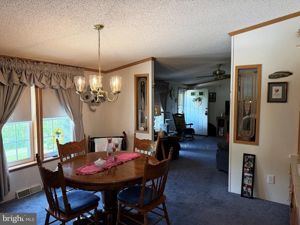871 Hillcrest Drive photo 11