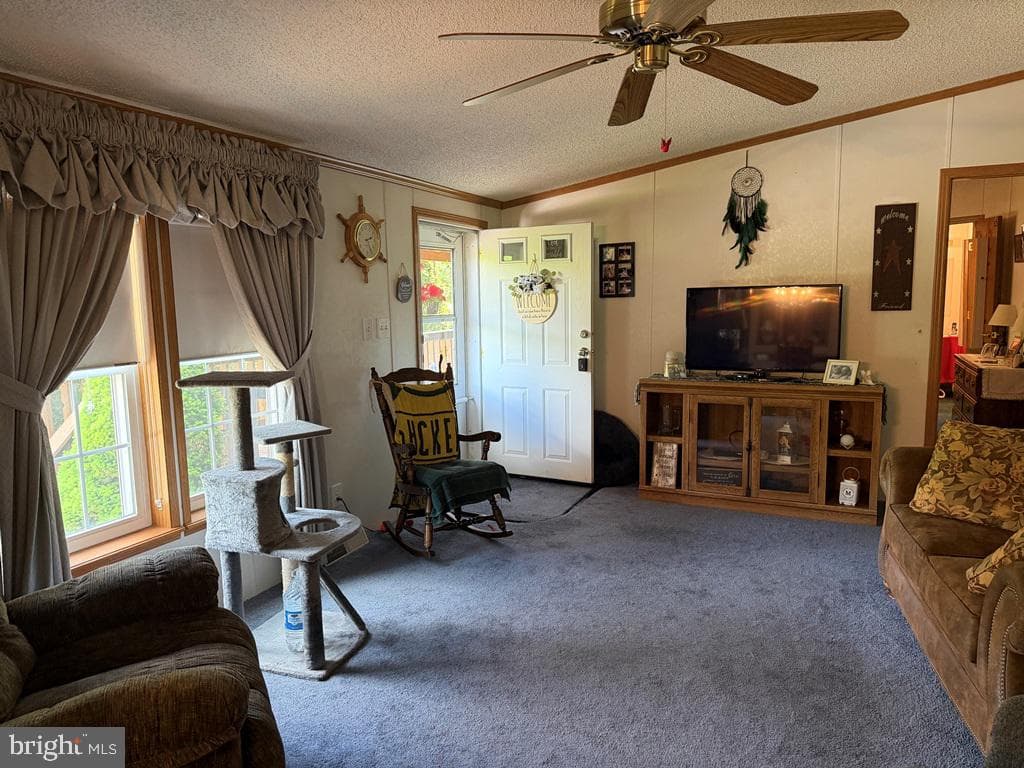 871 Hillcrest Drive photo 8