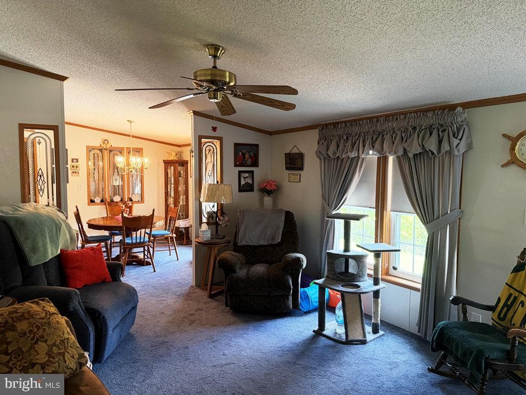 871 Hillcrest Drive photo 9