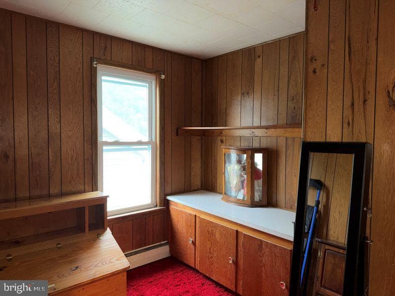 423 W Allegany Avenue photo 16