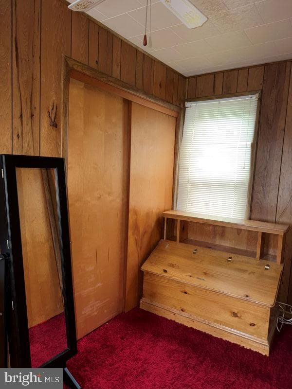 423 W Allegany Avenue photo 17