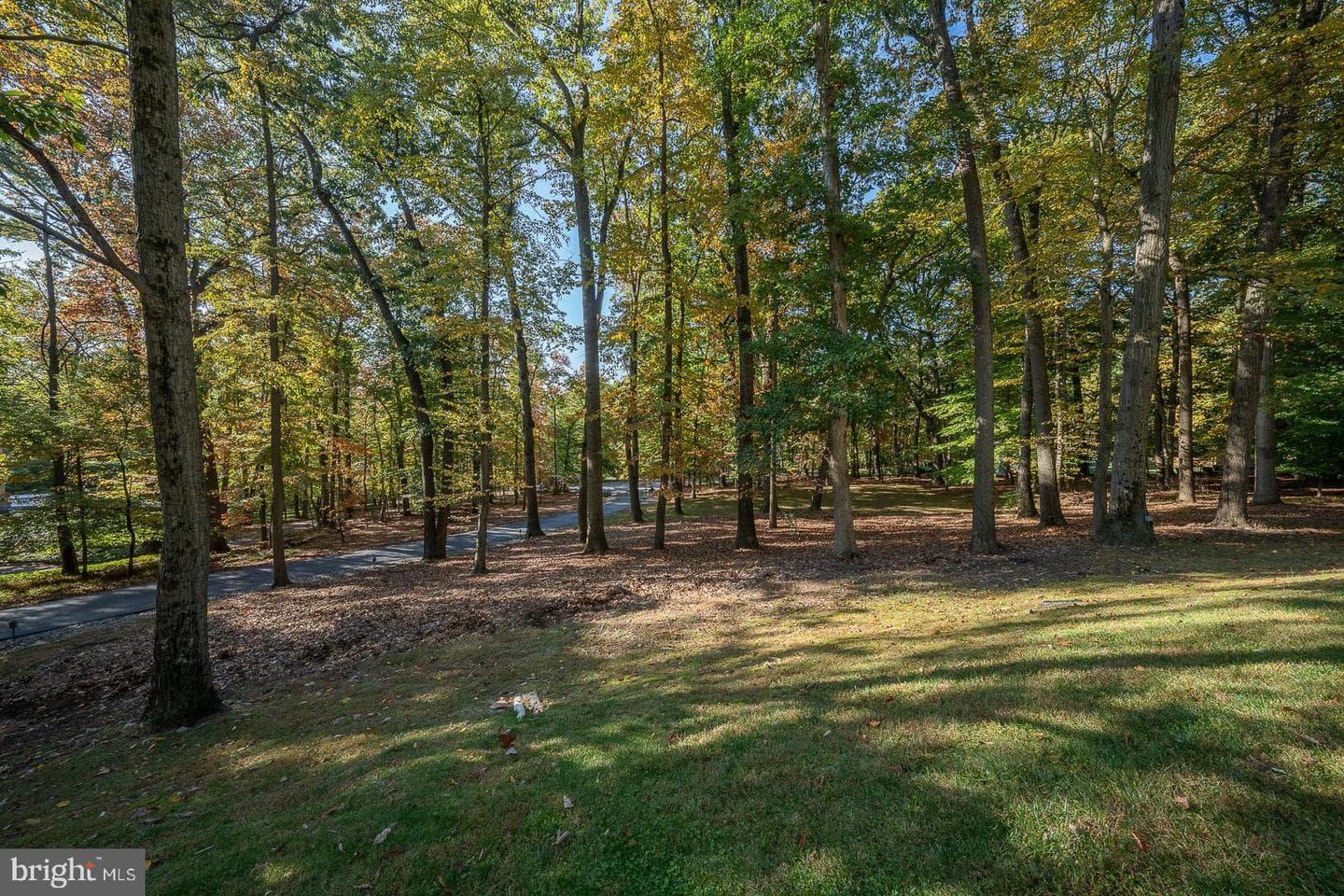 1994 Rochambeau Drive photo 65