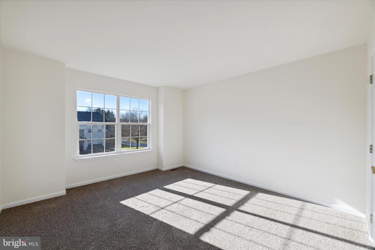 6003 Whitney Court photo 21