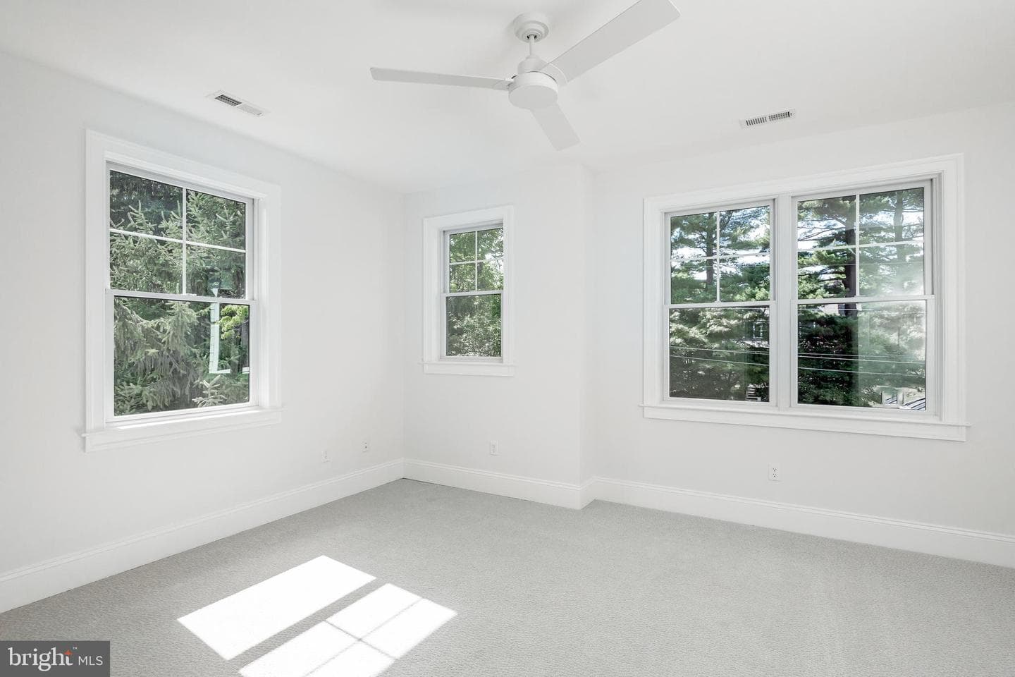 544 Red Fox Lane photo 38