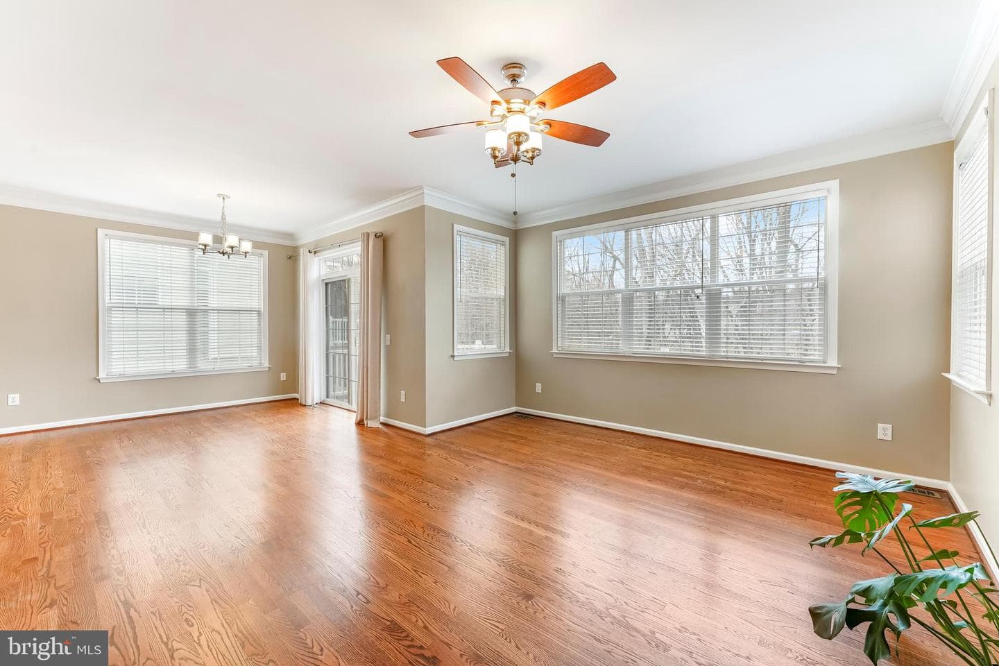 103 Brookline Court photo 15