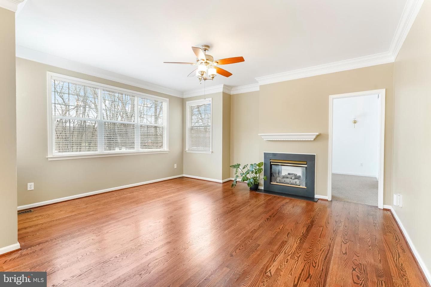 103 Brookline Court photo 17