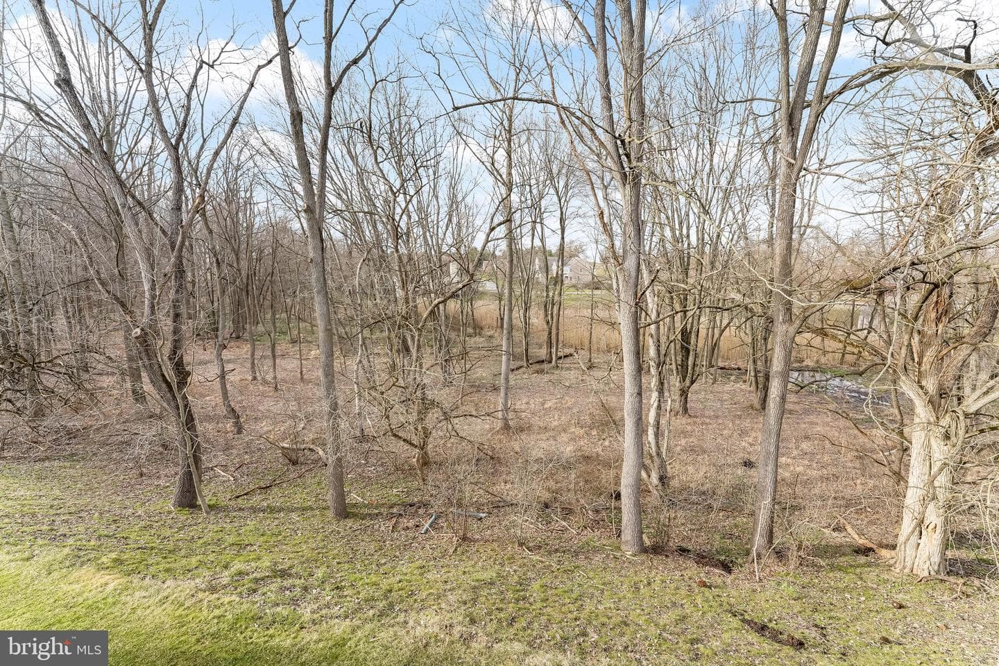 103 Brookline Court photo 33
