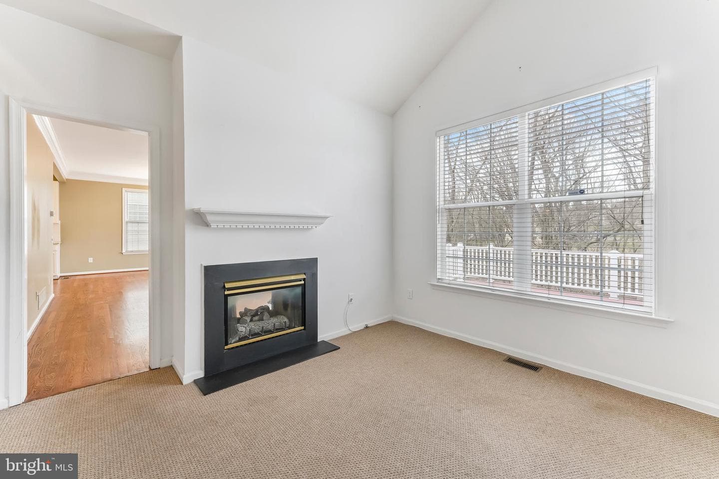103 Brookline Court photo 7