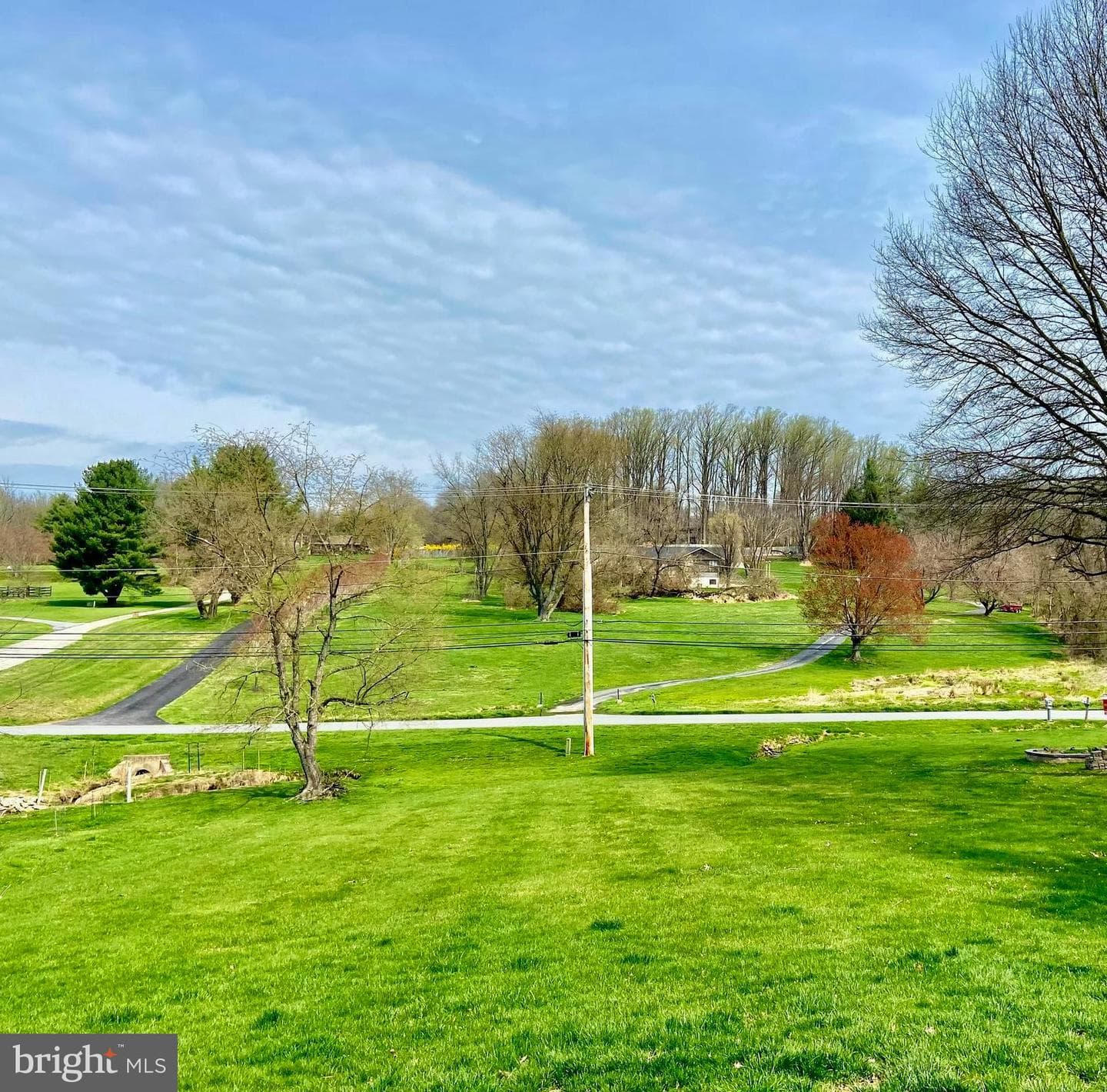 871 Frank Road photo 2