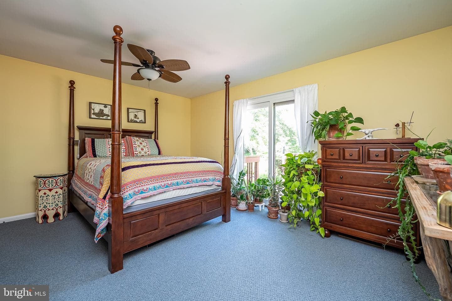 698 Spruce Drive photo 11