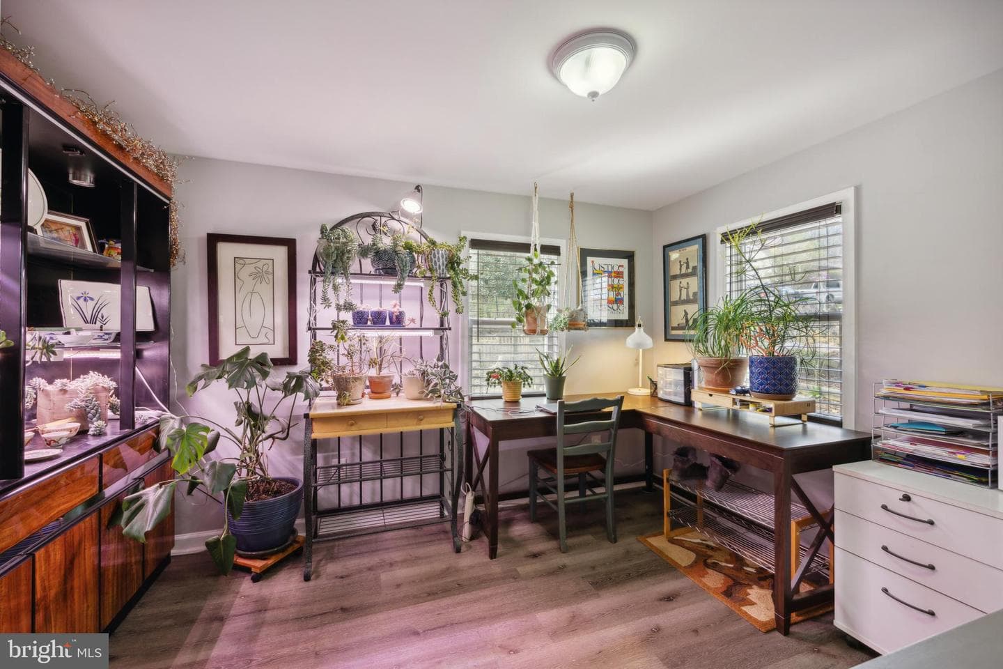 59 Pine Street photo 10