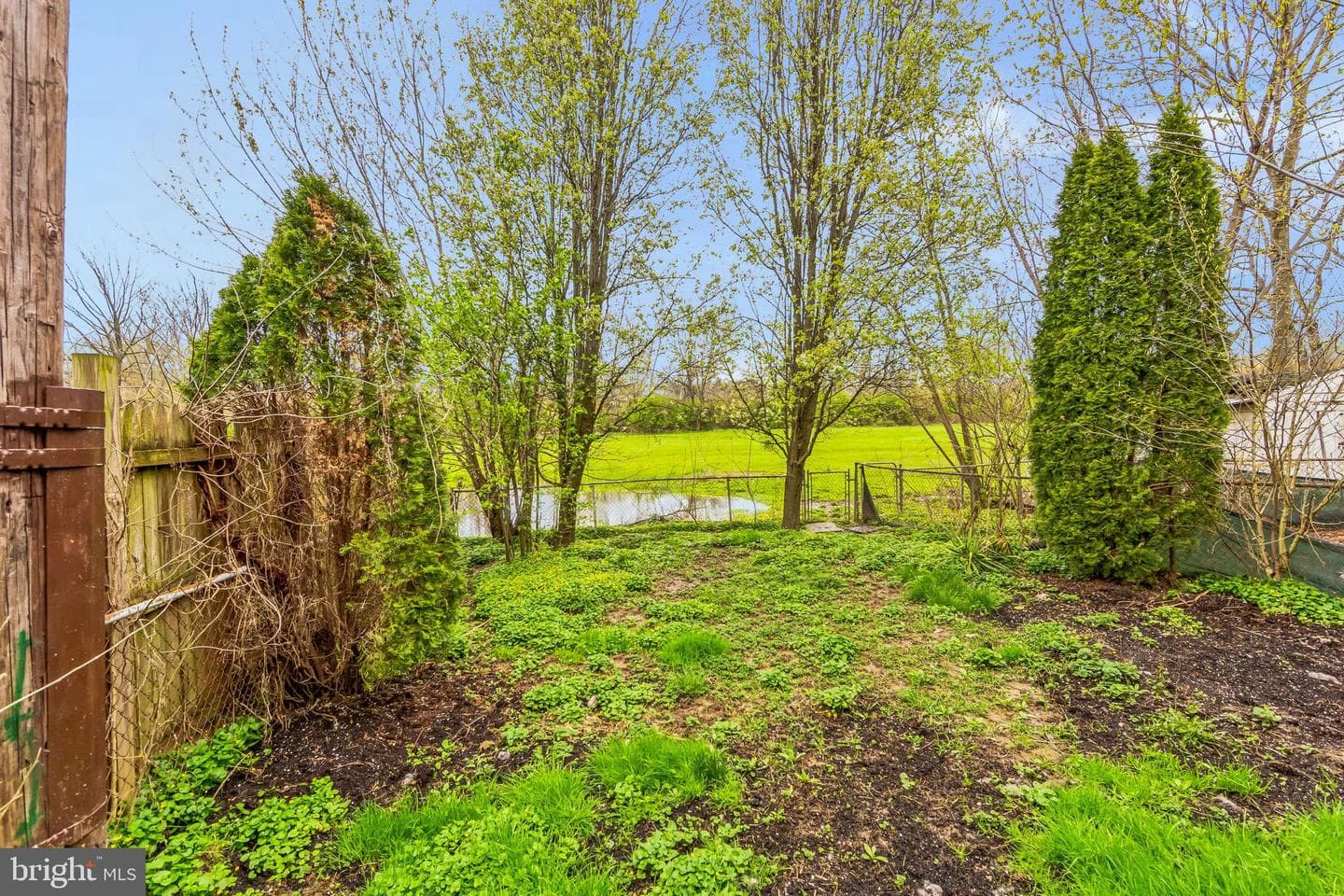 335 Mary Street photo 15