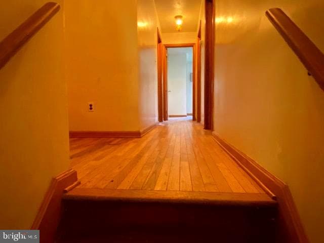 335 Kimber Drive photo 19