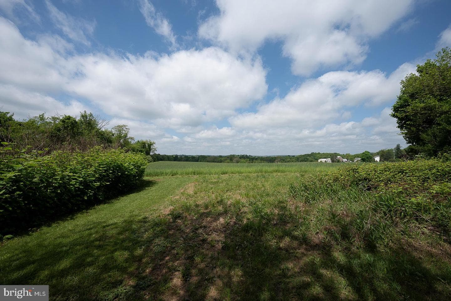 1100 Horseshoe Pike photo 73