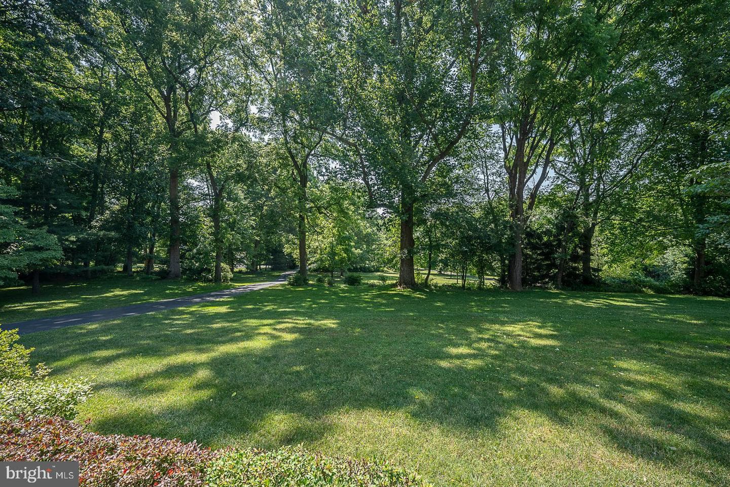 881 Fairview Road photo 55