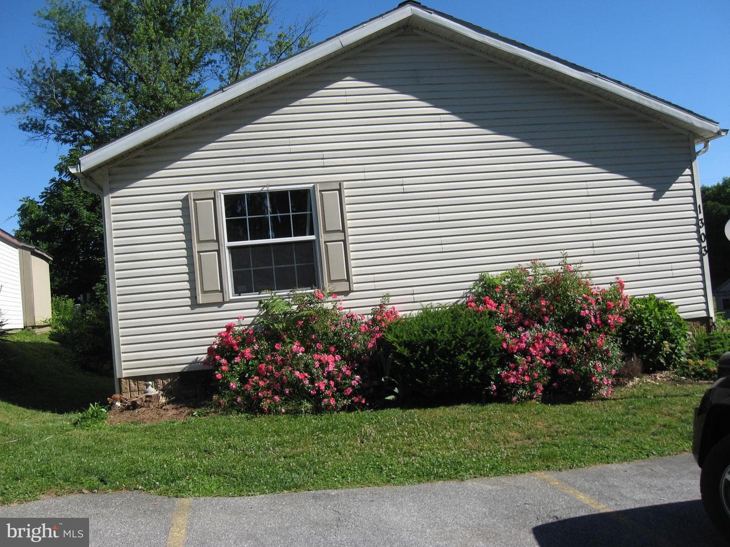 1303 Stayman Street photo 3