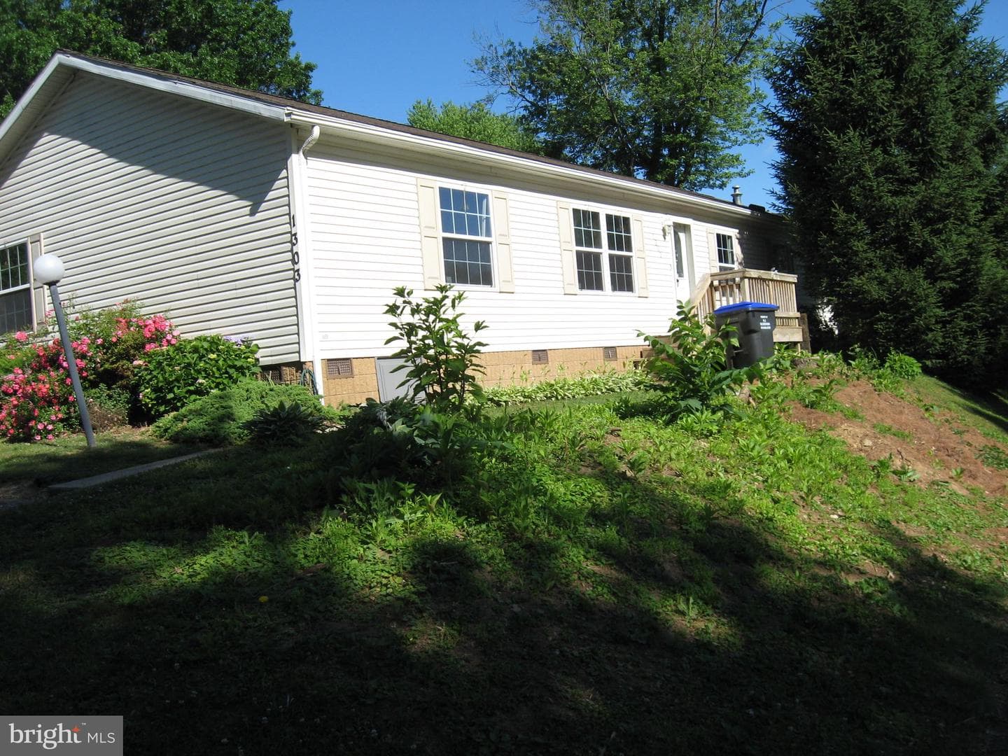 1303 Stayman Street photo 4
