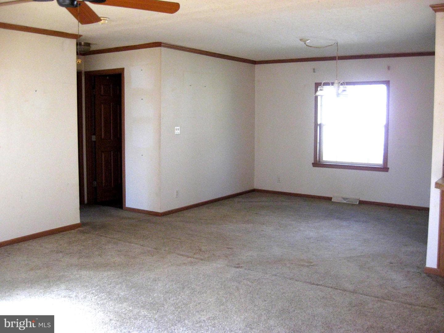 1303 Stayman Street photo 7