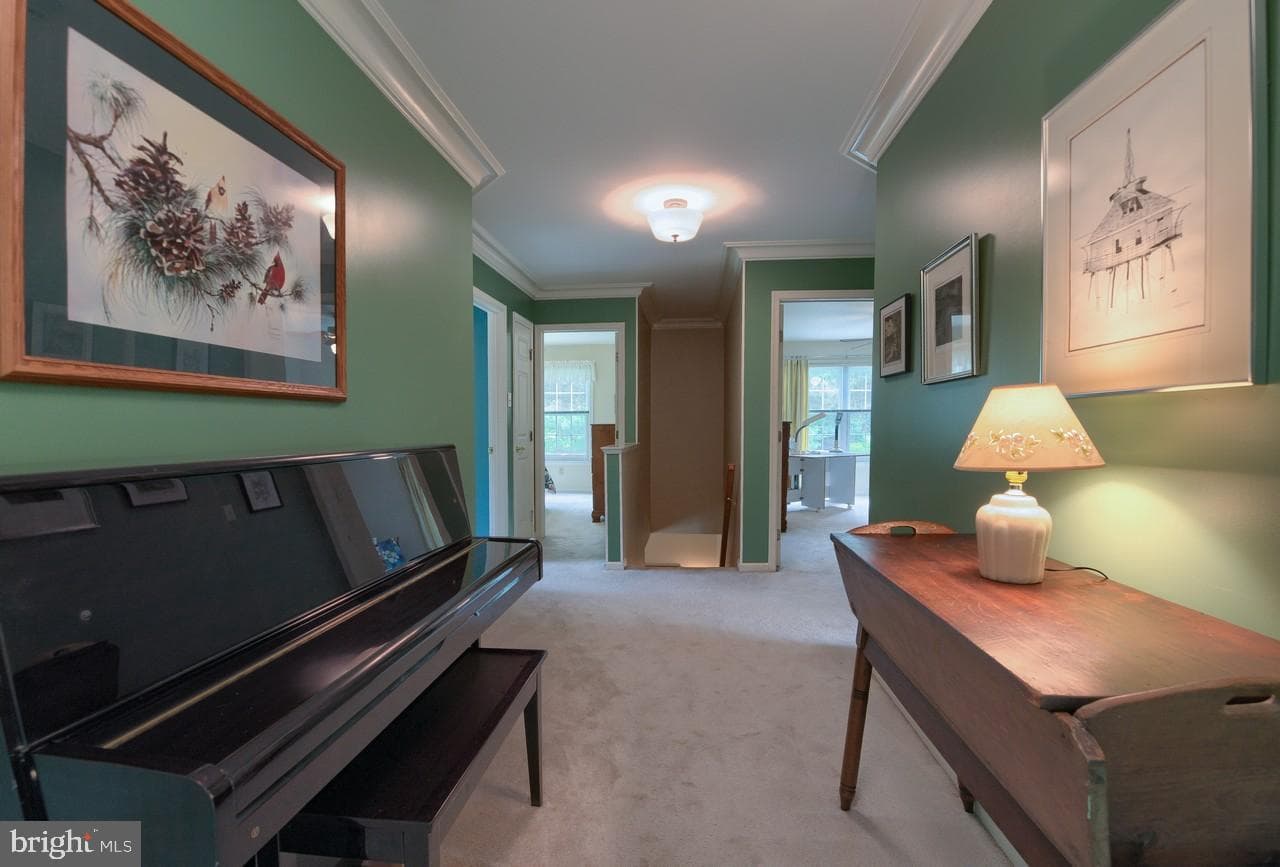 6 Edward Drive photo 25