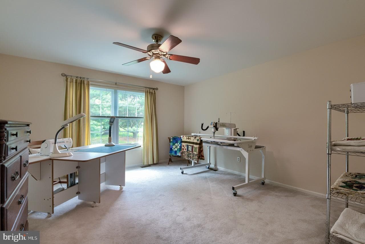 6 Edward Drive photo 33