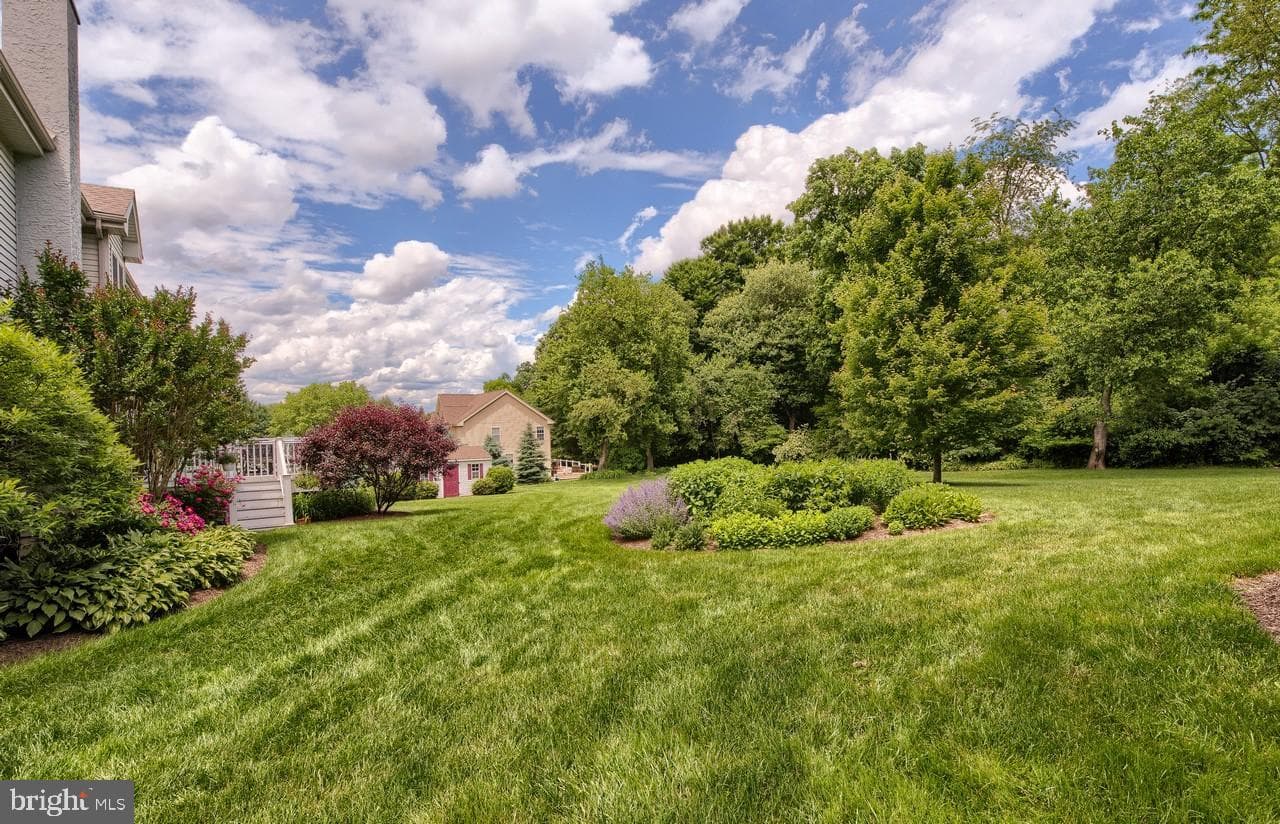 6 Edward Drive photo 42