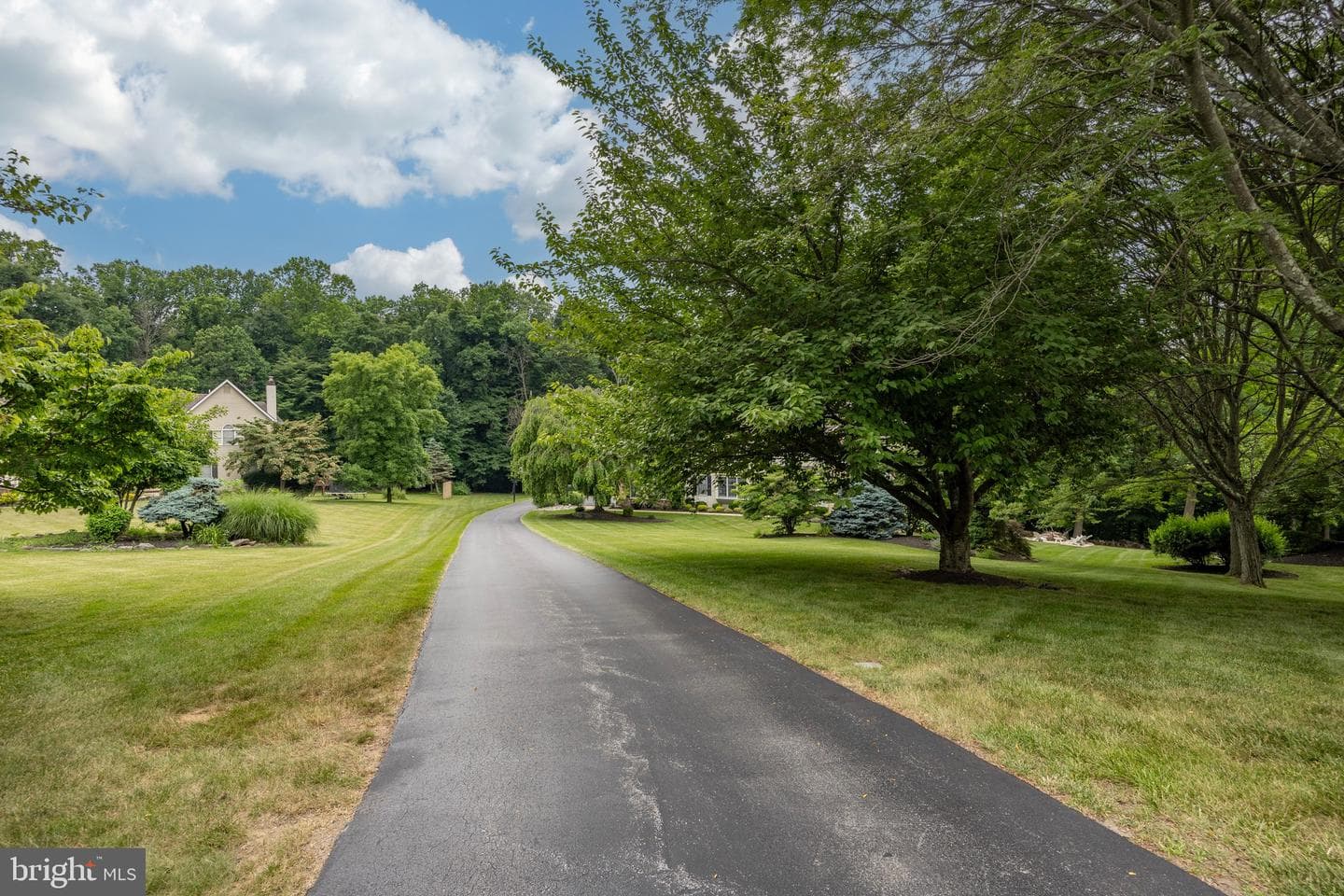 53 Devyn Drive photo 49