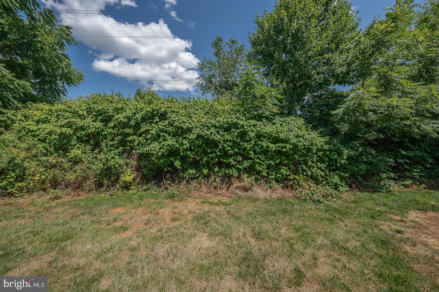 1225 Timothy Lane #11 photo 42