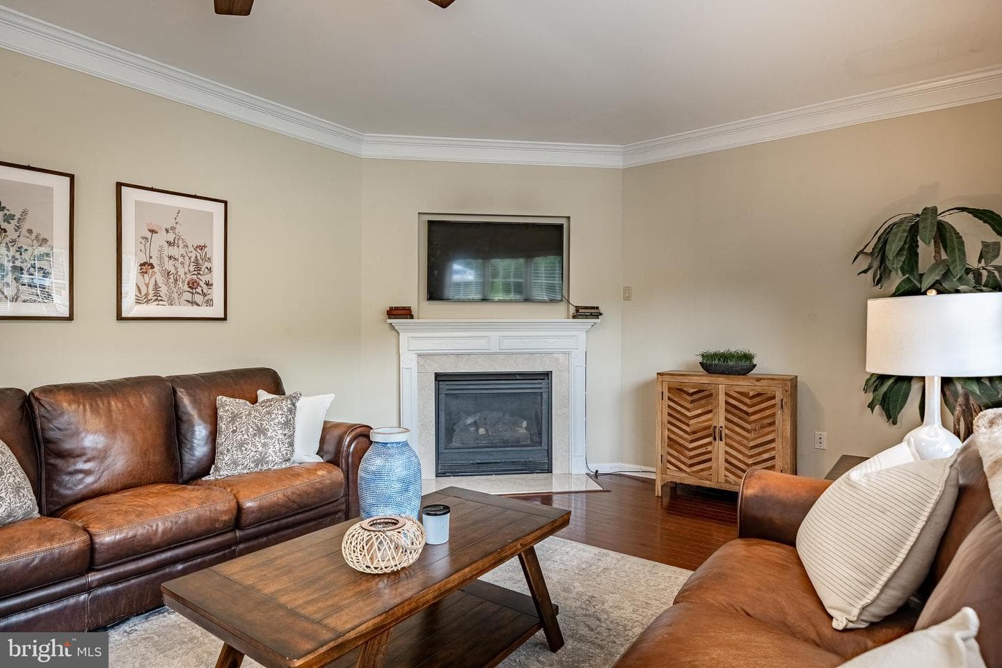 504 Dublin Drive photo 18