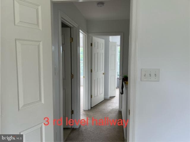 11 Carriage House Road photo 19