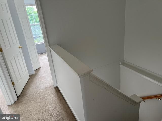 11 Carriage House Road photo 20