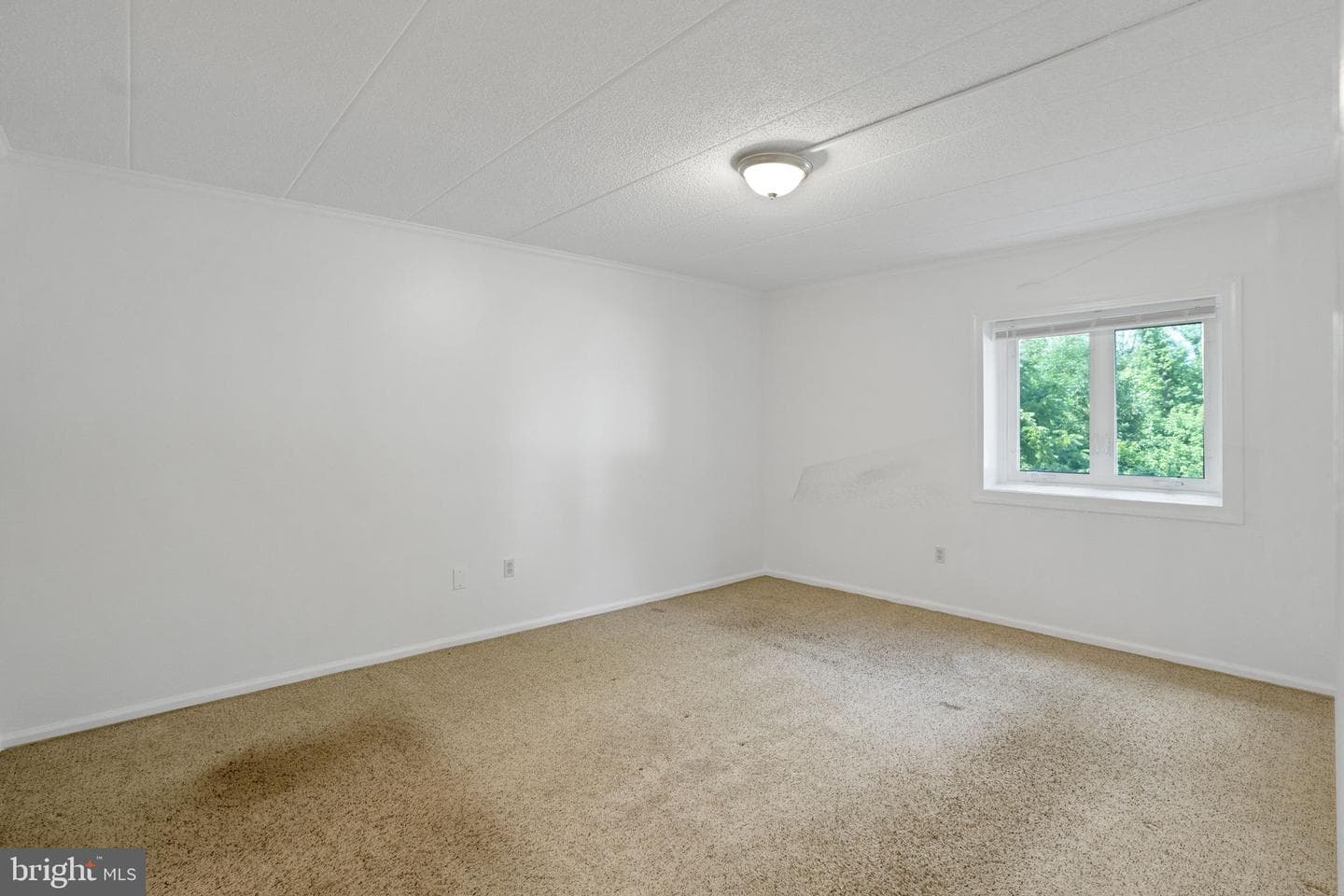 109 Harvest Lane photo 16
