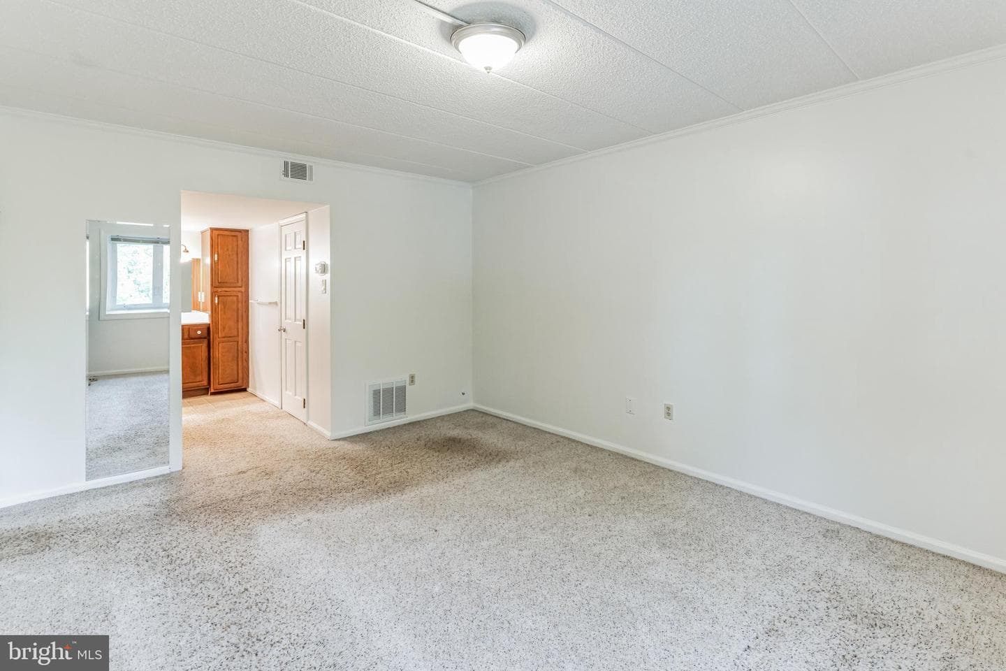 109 Harvest Lane photo 18