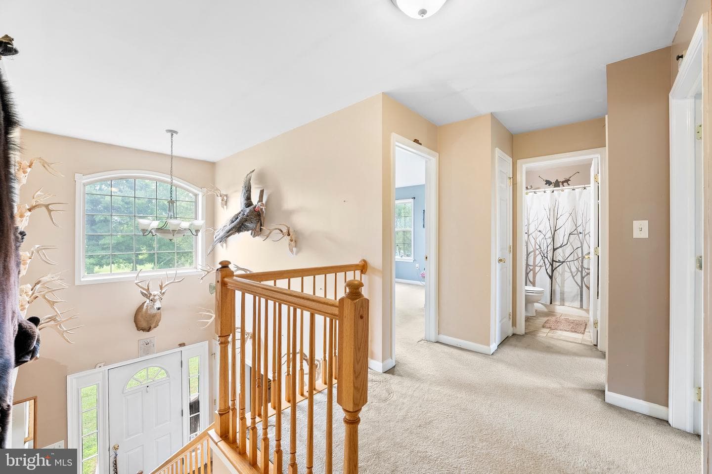 104 Farm View Drive photo 18