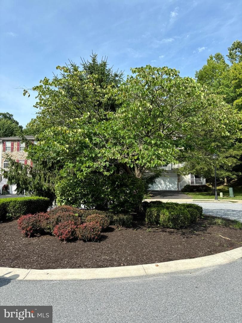 113 Regents Court photo 29