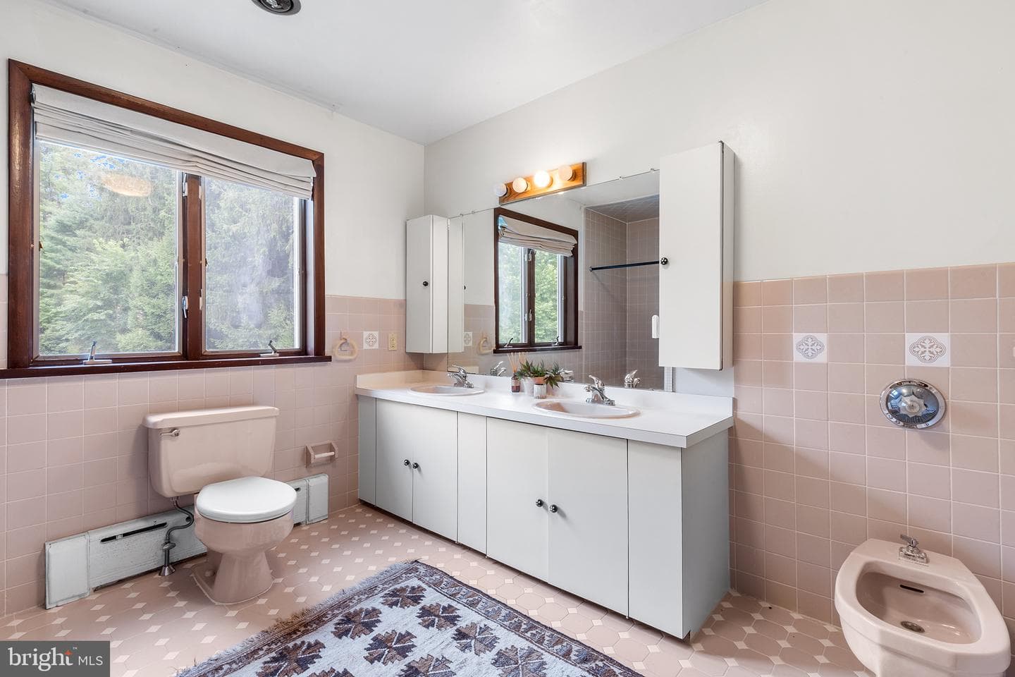 9 Smedley Drive photo 33