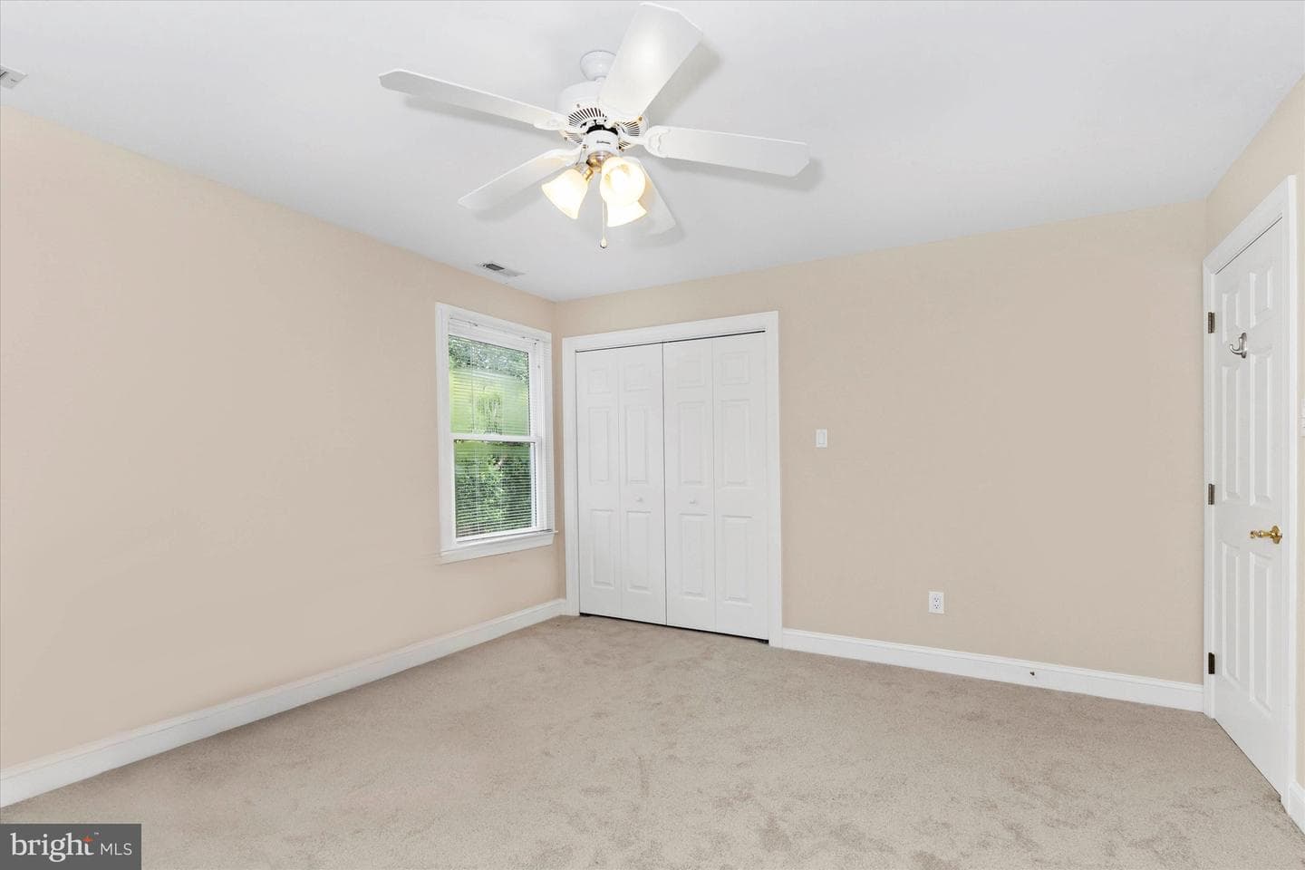 204 Fern Ridge photo 42