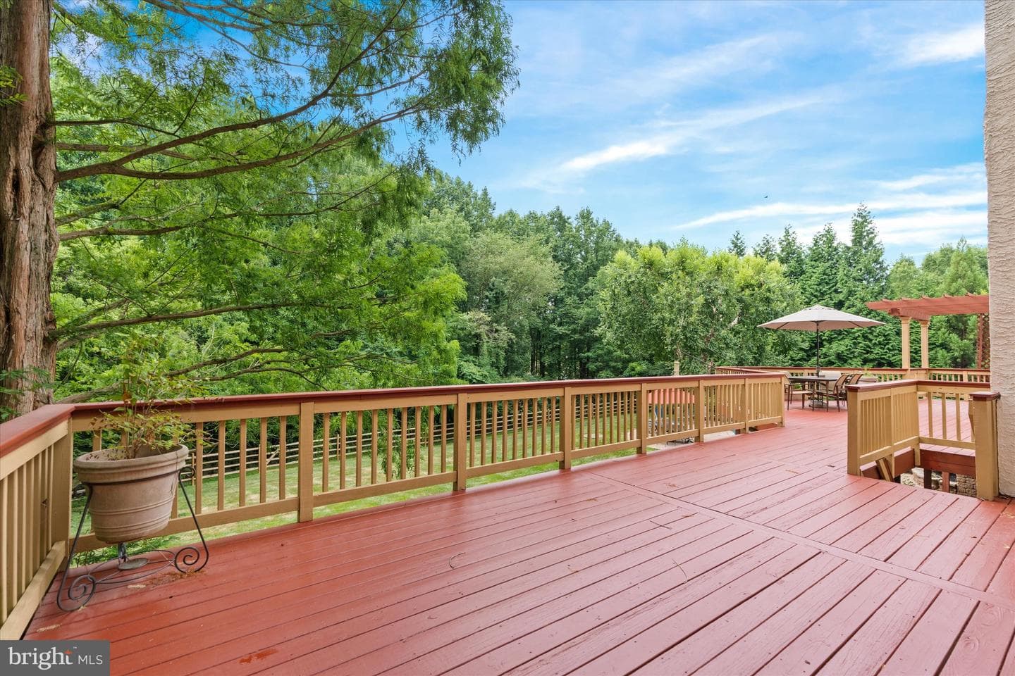 204 Fern Ridge photo 60