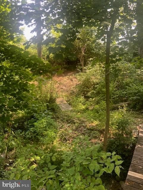 654 Grace Avenue photo 44