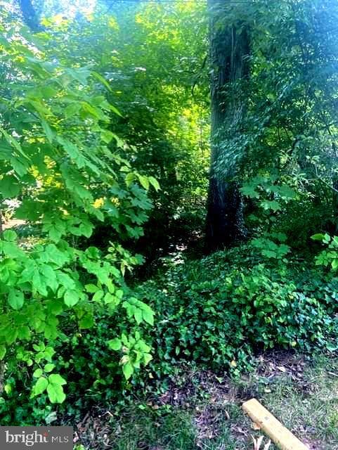654 Grace Avenue photo 45