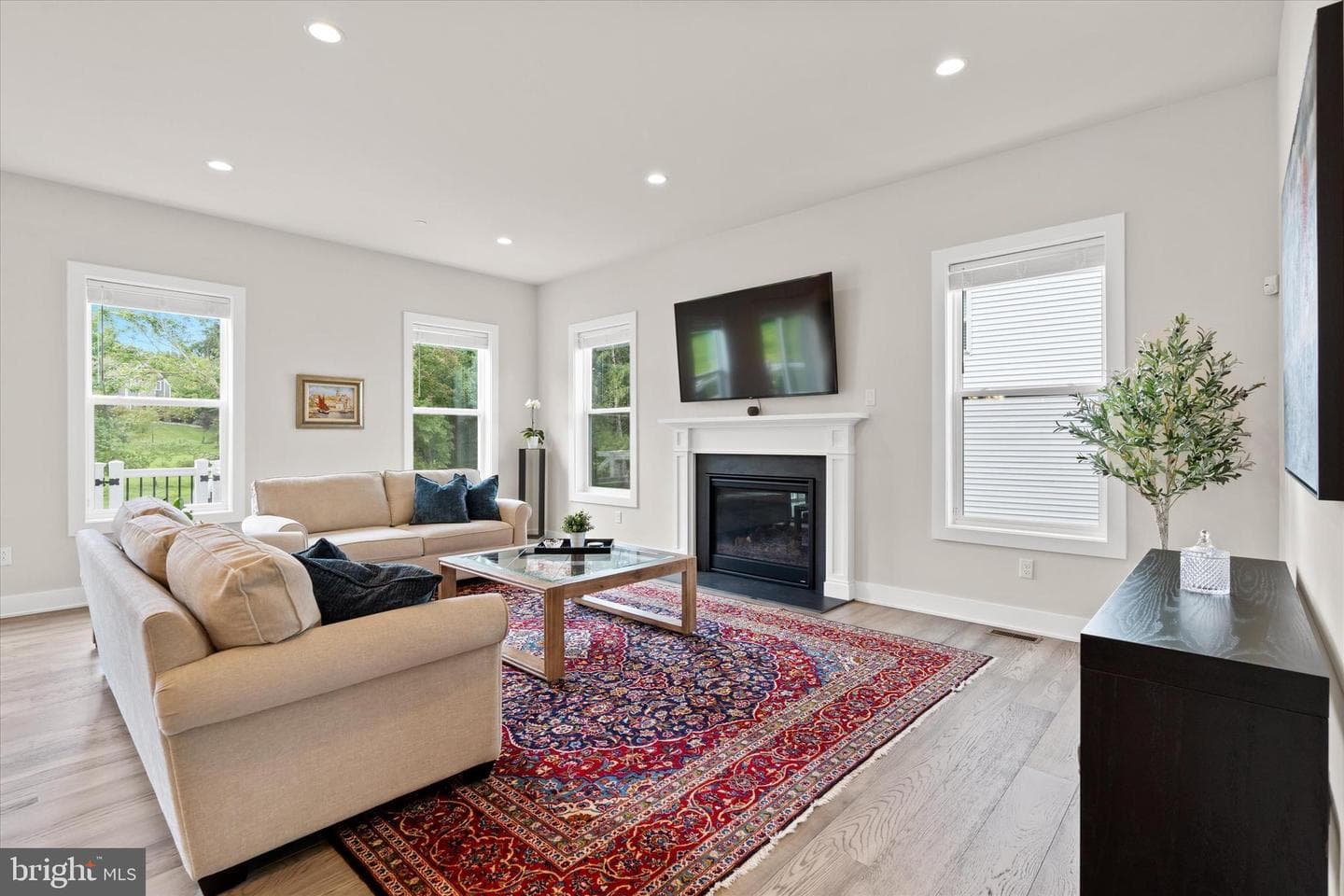 217 Lily Lane photo 16