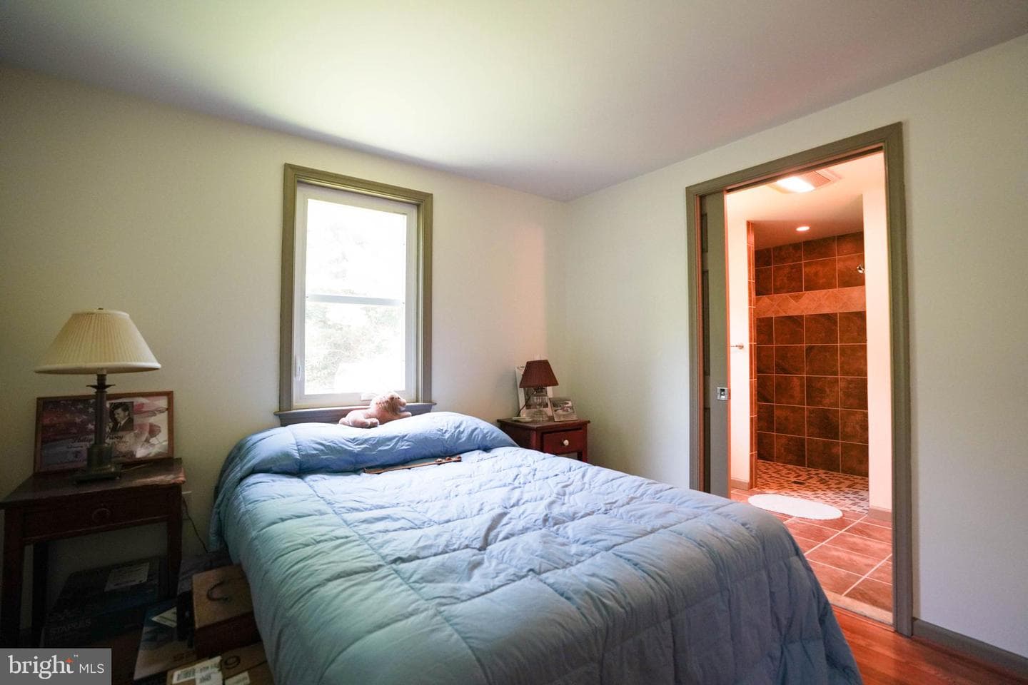 8 Butternut Lane photo 14