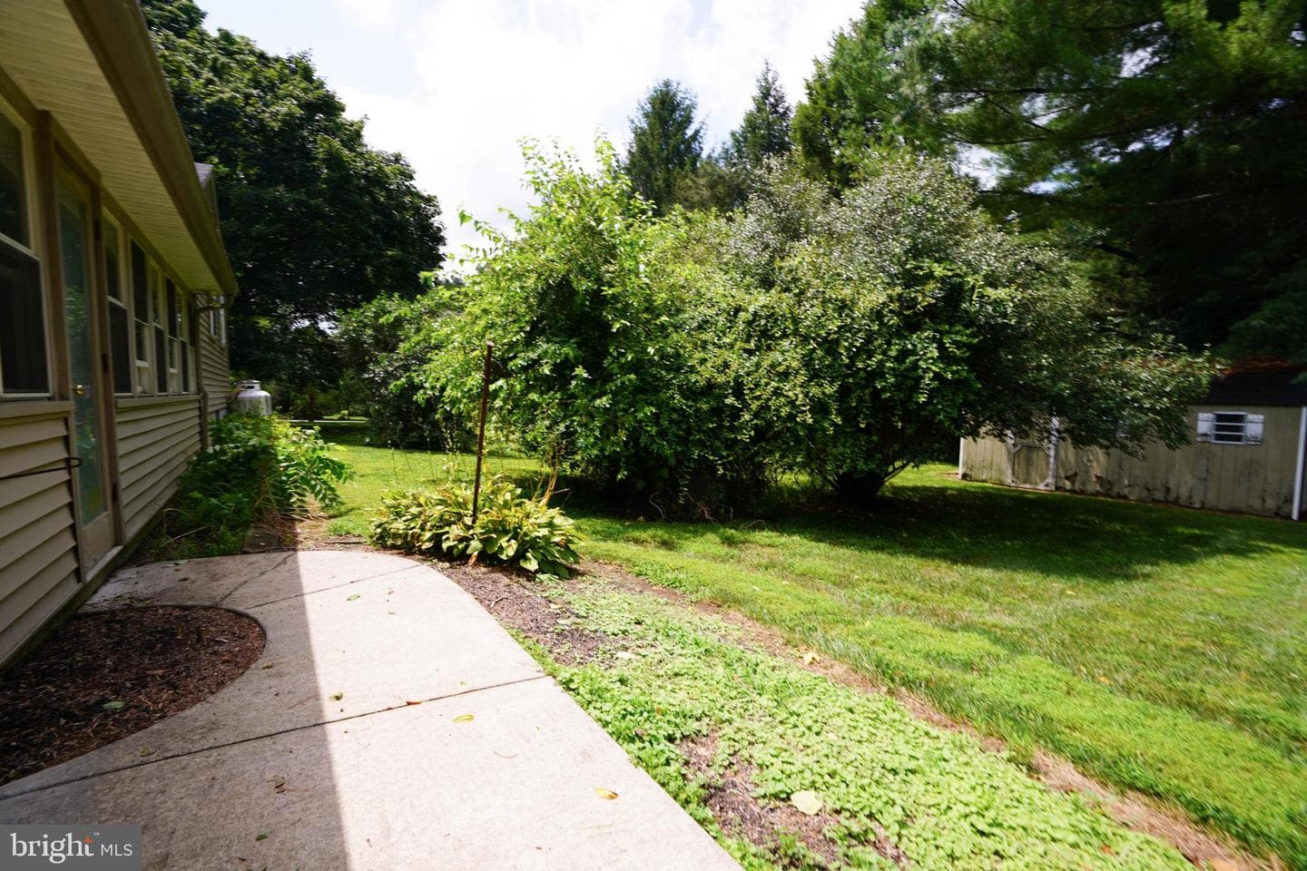 8 Butternut Lane photo 29