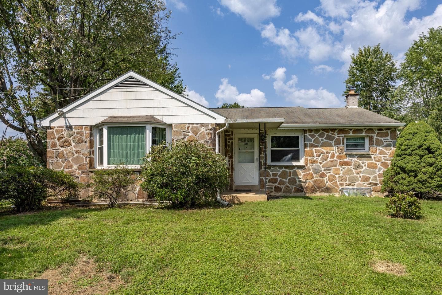 517 Lincoln Avenue photo 1