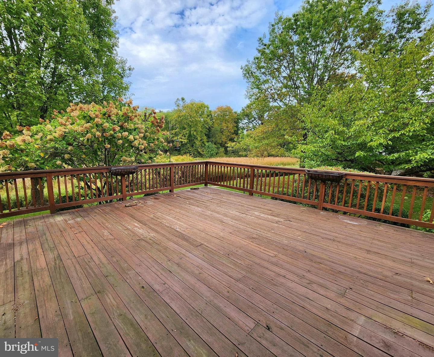 1393 Springton Lane photo 30