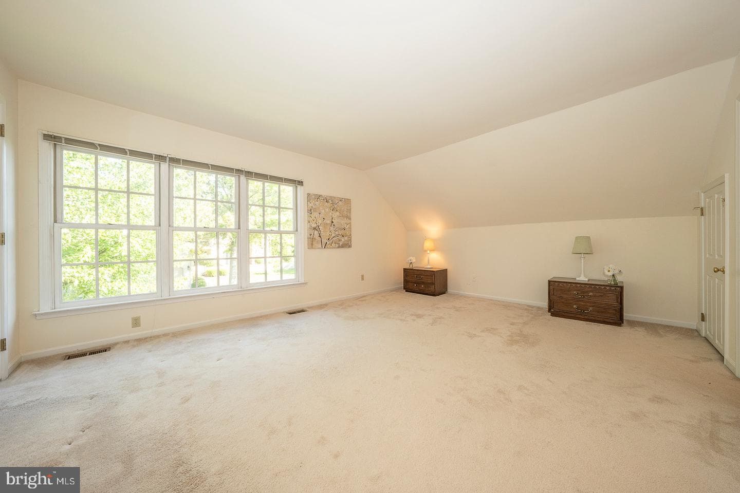 443 Chandlee Drive photo 23