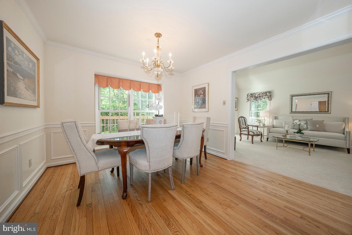 443 Chandlee Drive photo 6