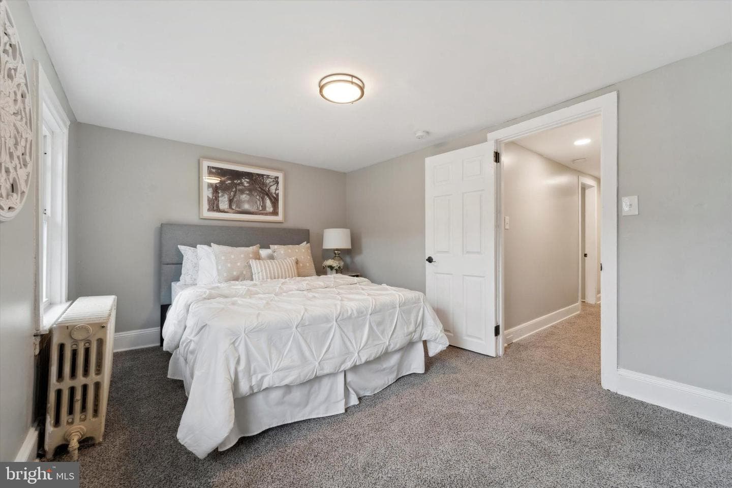 46 Walnut Street photo 12