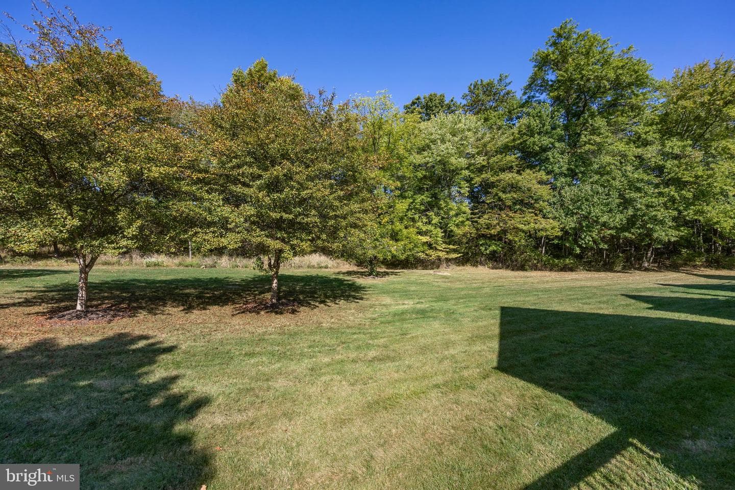 1386 Springton Lane photo 40