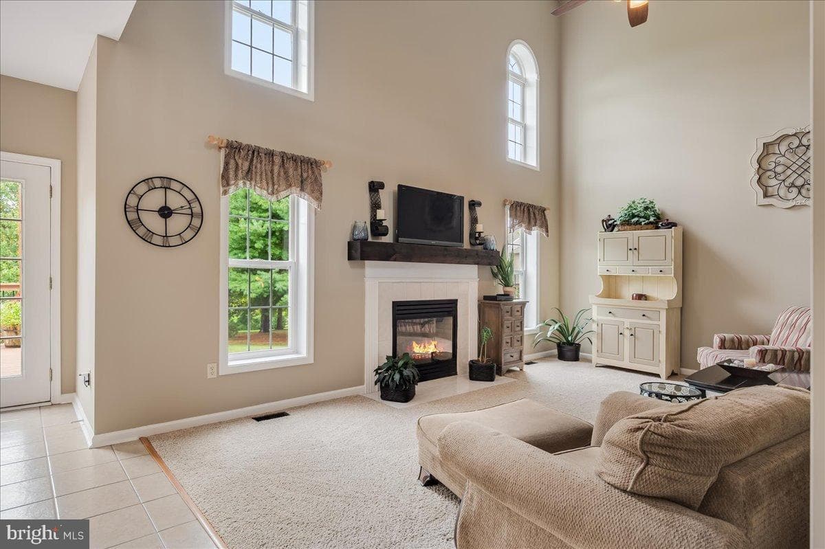 10 Spring Hill Drive photo 16