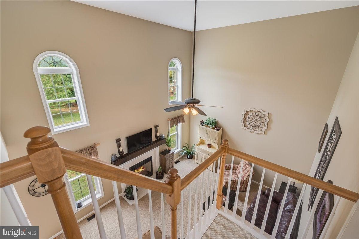 10 Spring Hill Drive photo 17